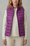 Violetti
